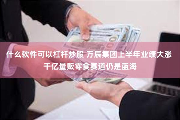什么软件可以杠杆炒股 万辰集团上半年业绩大涨 千亿量贩零食赛道仍是蓝海