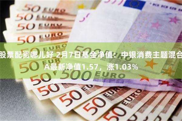 股票配资哪儿好 2月7日基金净值：中银消费主题混合A最新净值1.57，涨1.03%