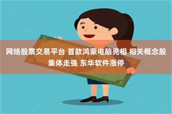 网络股票交易平台 首款鸿蒙电脑亮相 相关概念股集体走强 东华软件涨停