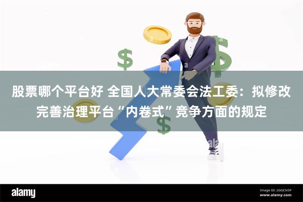 股票哪个平台好 全国人大常委会法工委：拟修改完善治理平台“内卷式”竞争方面的规定