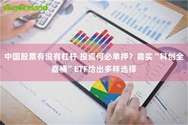 中国股票有没有杠杆 投资何必单押？嘉实“科创全嘉桶”ETF给出多样选择