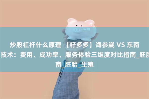炒股杠杆什么原理 【籽多多】海参崴 VS 东南亚试管技术：费用、成功率、服务体验三维度对比指南_胚胎_生殖